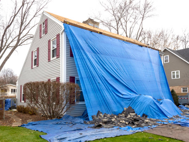 Best Moving and Downsizing Cleanouts  in Tipton, IN