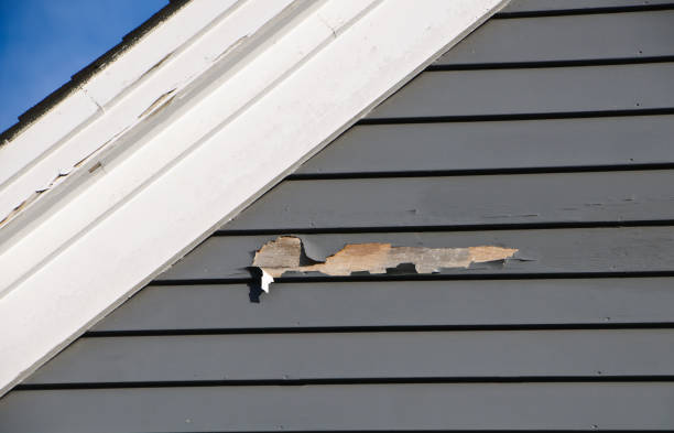 Best Same-Day Junk Removal Services  in Tipton, IN